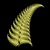 Fern