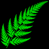 Fractal Fern
