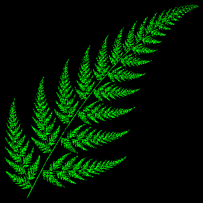 Fern